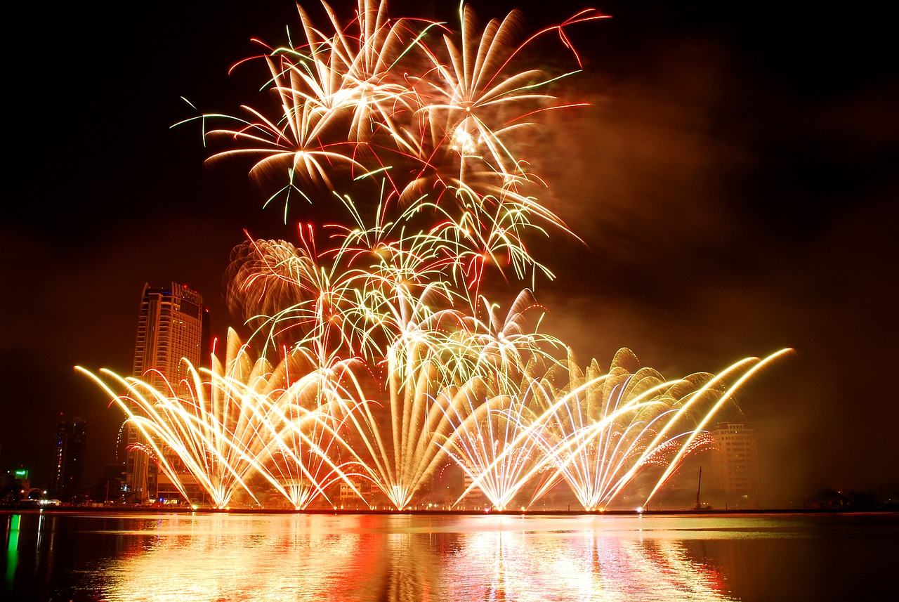 Feu d'artifice comportementaliste happy dogs chien