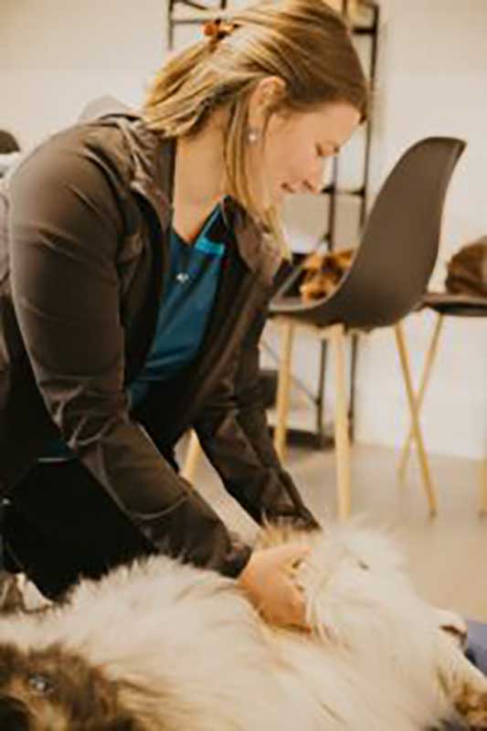 Lea shiatsu canin os'moz bien être